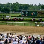 2026 Fourstardave Stakes at a Glance